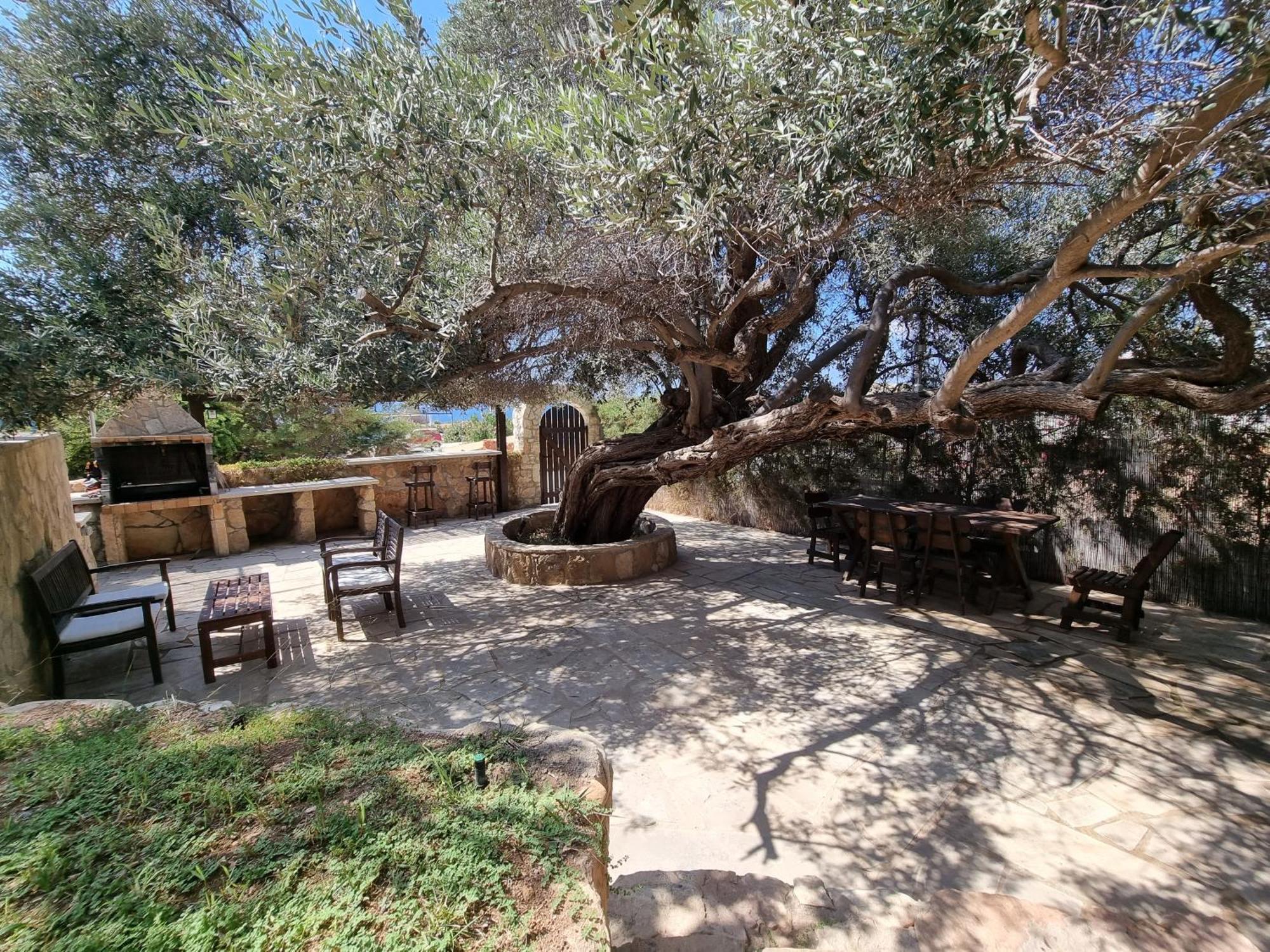 Olive Beach Villa Peyia Exterior photo